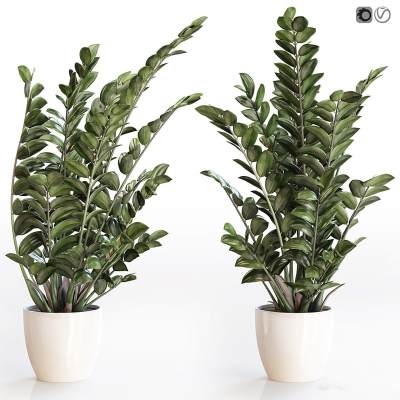 现代绿植盆栽组合